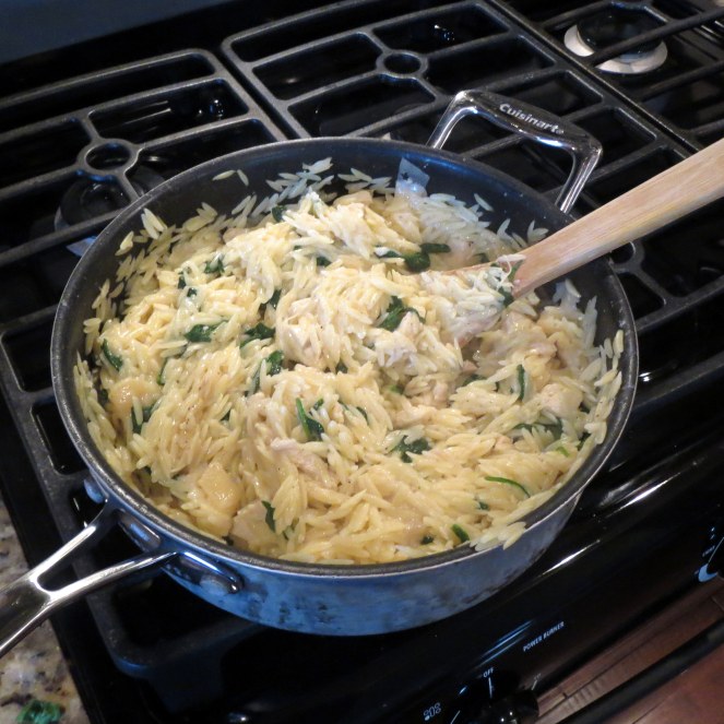 Garlic Chicken with Orzo Noodles I Rumbly in my Tumbly