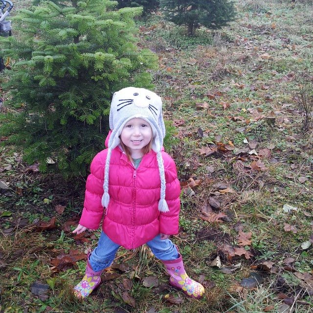 Apple Slab Pie by Rumbly in my Tumbly