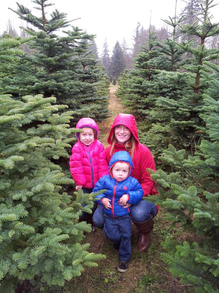 Absolutely amazing baklava