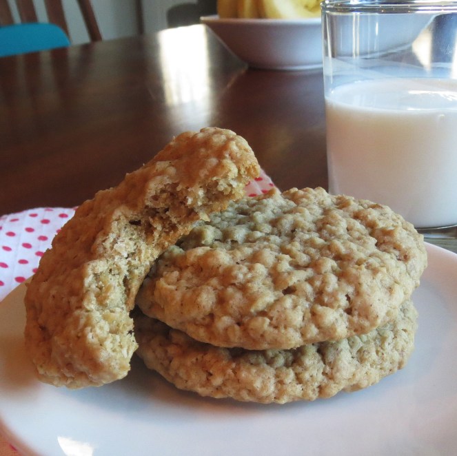 Chewy Oatmeal Cookies - Rumbly in my Tumbly