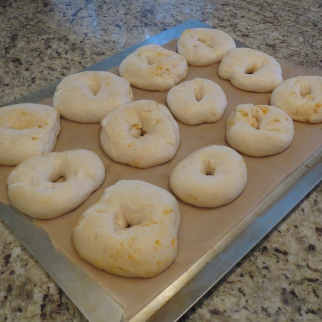 Homemade Cheddar Garlic Bagels by Rumbly in my Tumbly
