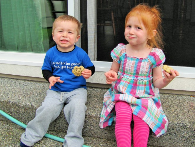The Best Soft and Chewy Chocolate  Chip Cookies by Rumbly in my Tumbly