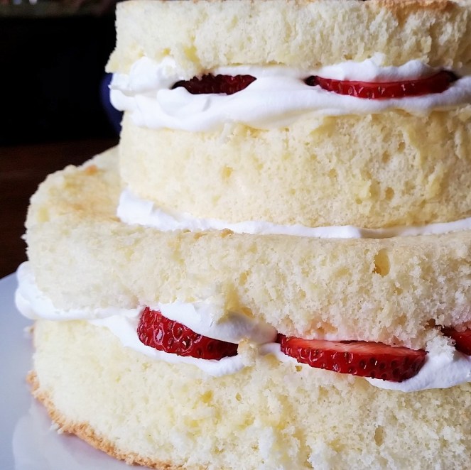 "Very Fancy" Strawberries and Whipped Cream Sponge Cake by Rumbly in my Tumbly