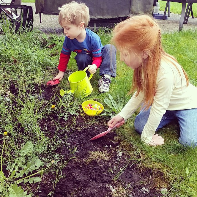 Planting jelly beans