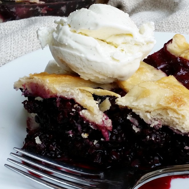 Easy Homemade Blackberry Pie- the best way to use those blackberries!