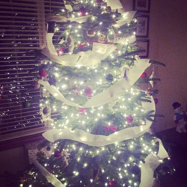 Toilet Paper'd the tree. I do this at least once a year because it's easy and the kids love it.