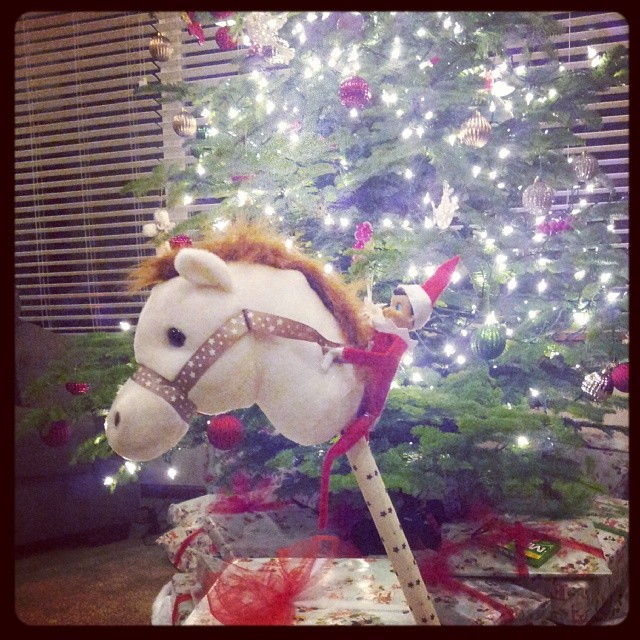 Elf riding stick horse, secured with little rubber bands, horse propped up by presents
