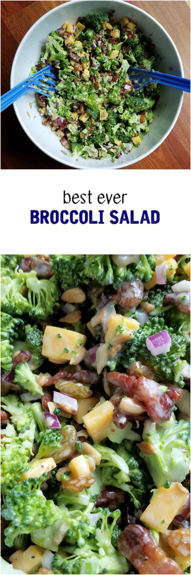 Best Broccoli Salad by Rumbly in my Tumbly
