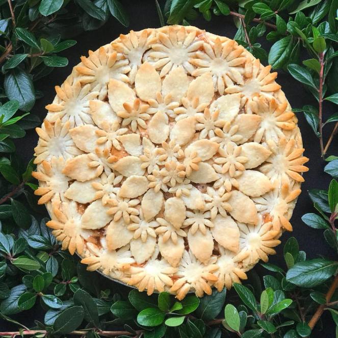 26230522_10156302409493392_4507875480759428447_n