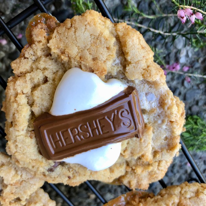 The BEST S'more Cookies EVER